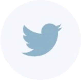 Twitter icon